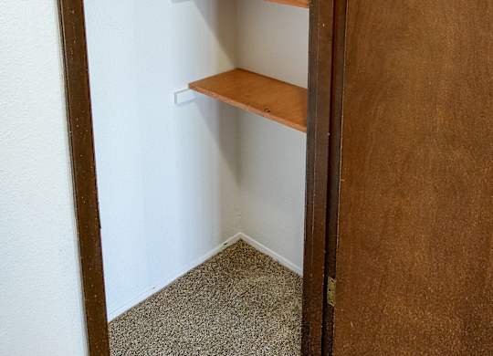 A white closet with a wooden door and shelves.