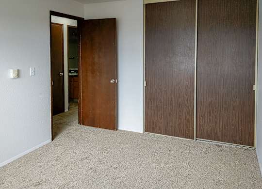A room with a carpeted floor and two wooden doors.