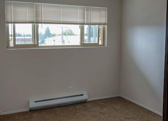 A room with a window and a carpeted floor.