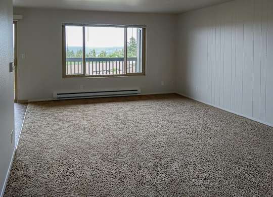 A room with a carpeted floor and a window with a view of the outdoors.