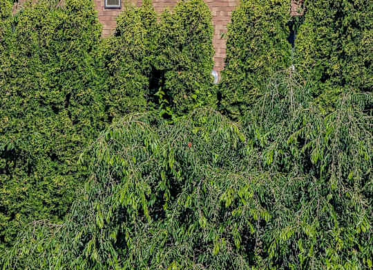 A building with a logo on it is surrounded by greenery.