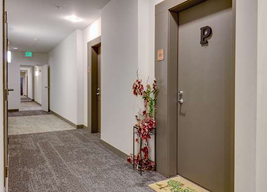 A hallway with a brown door and a plant on the floor.
