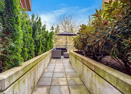 A patio with a table and chairs surrounded by green plants.