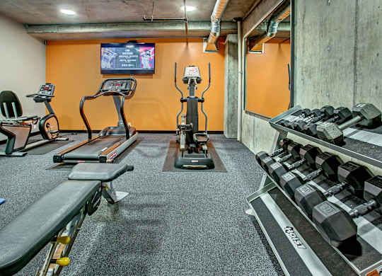 A gym with a bench, weights, and exercise equipment.