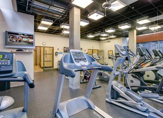 A gym with treadmills and exercise bikes.
