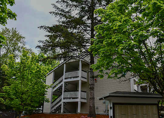 A tree is in front of a two-story building.