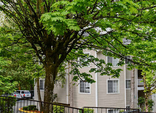A tree in front of a building with a car parked in the driveway.