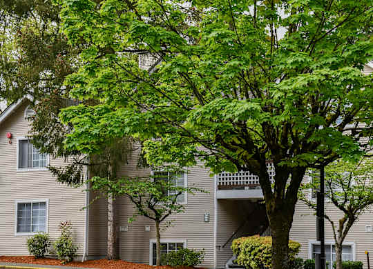 A tree in front of a building with a balcony.