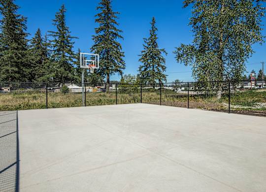 A basketball court surrounded by trees and a fence.