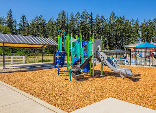 A playground with a blue slide and green monkey bars.