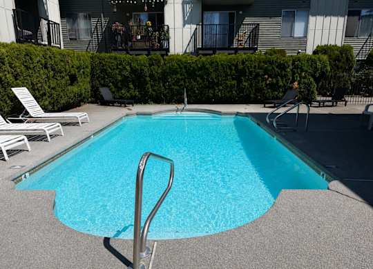 A small pool surrounded by a concrete patio and a hedge.