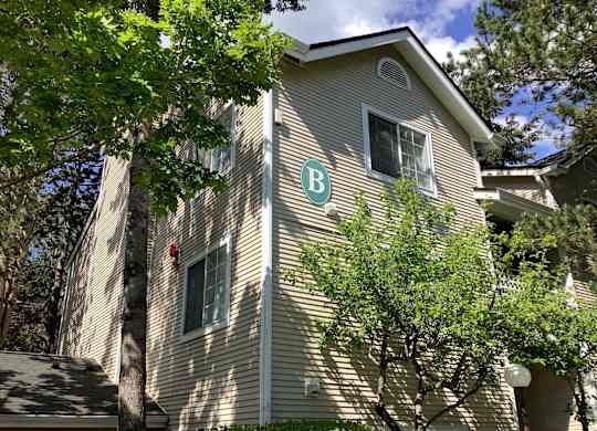 A house with a tree in front of it.
