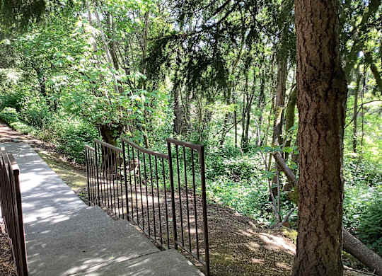 A metal fence runs along a concrete path in a green forest.