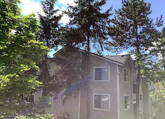 A house is surrounded by trees and bushes.