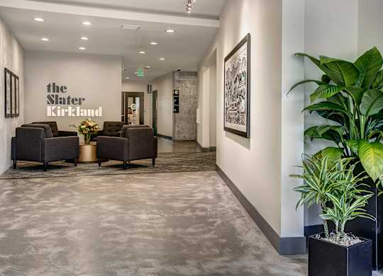 A hallway with a plant on the right and chairs on the left.