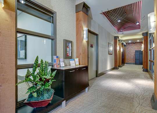 A hallway with a plant on a counter and a red wall.