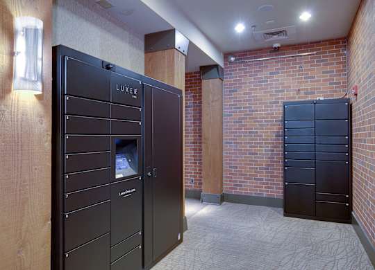 A room with two black LUXEO storage units.