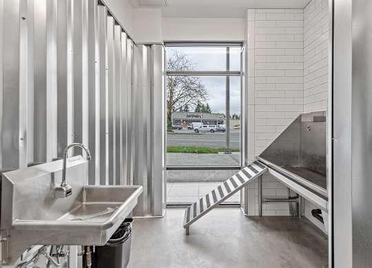 A modern dog wash with a large window overlooking a parking lot.