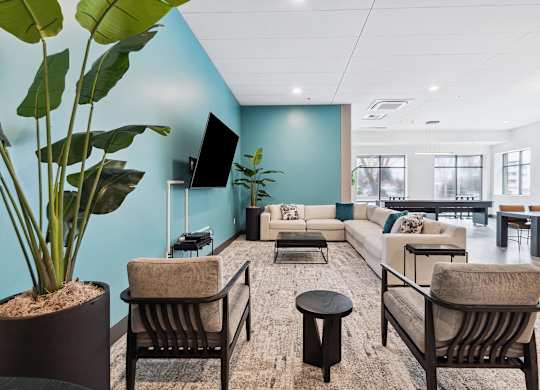 A living room with a large plant in a pot, a sofa set, and a television.
