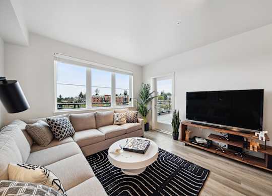 A modern living room with a grey sofa, a black coffee table, and a flat screen TV.