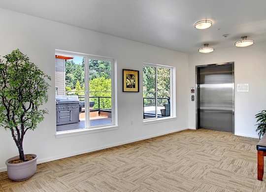 A room with a tree, a bench, and a painting on the wall.