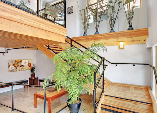 A large green plant sits on a wooden table in a room with a glass ceiling.