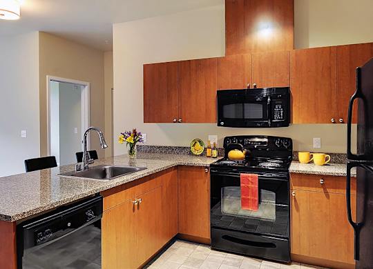 A kitchen with a black oven and refrigerator.