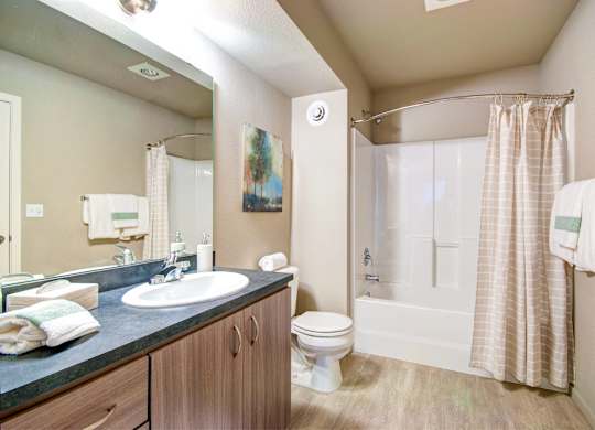 A bathroom with a toilet, sink, and shower.