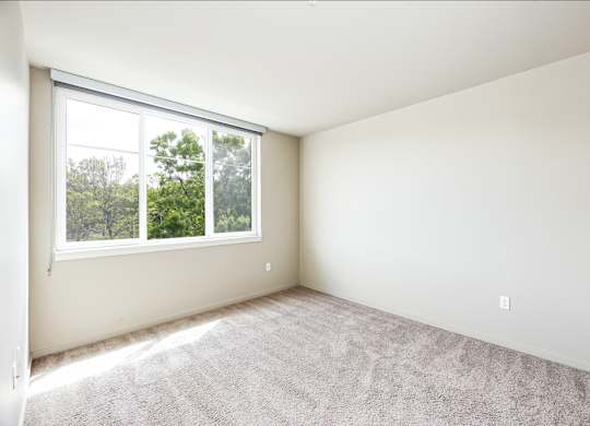 A room with a carpeted floor and a window overlooking trees.