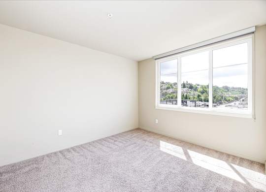A room with a large window and carpeted floor.