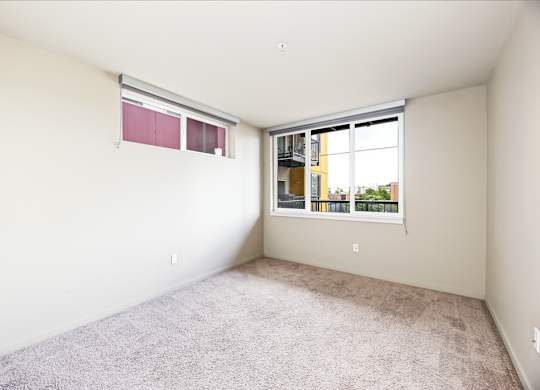 A room with a window and a carpeted floor.