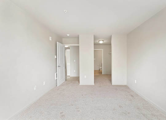 A white room with a carpeted floor and white walls.