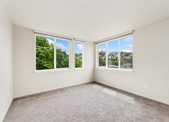 A room with two windows and carpeted floor.