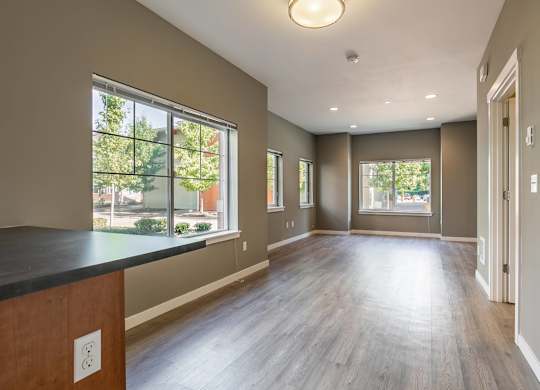 A large empty room with wooden floors and a window overlooking a tree-filled street.
