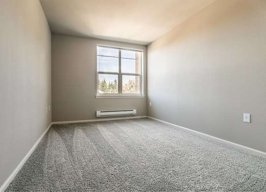 A room with a carpeted floor and a window.