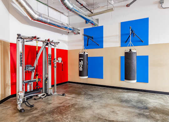 A gym with a punching bag and a boxing ring.