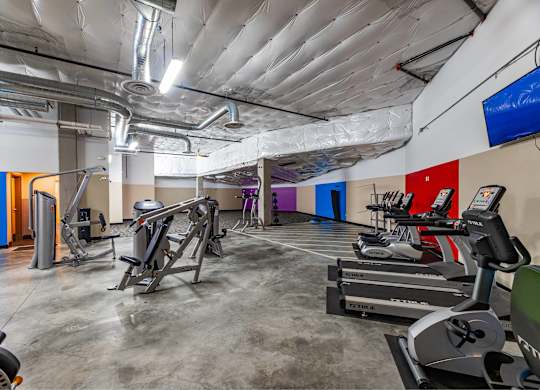 A gym with treadmills, exercise bikes, and other equipment.