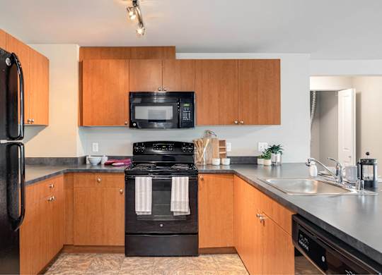 A kitchen with a black refrigerator and a black stove top oven.