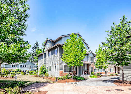 A house with a grey facade is surrounded by green trees.
