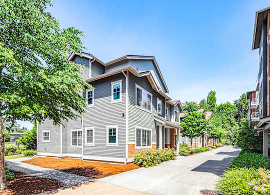 A residential area with a house and a driveway.