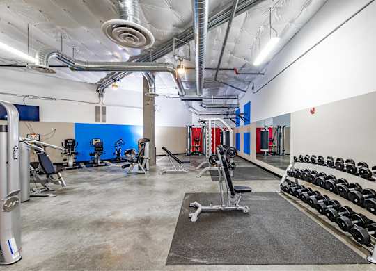 A gym with a variety of equipment including dumbbells and weight machines.