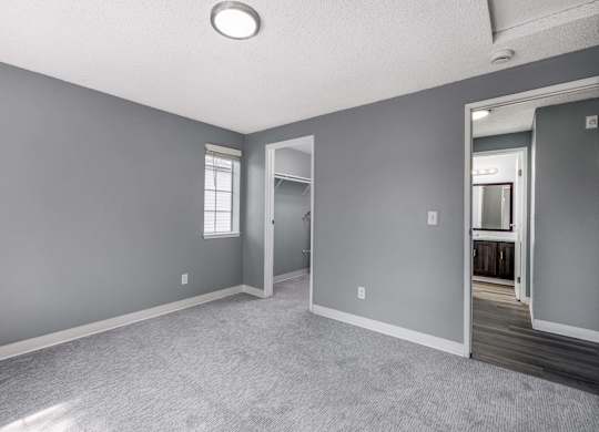 A room with grey walls and a carpeted floor.