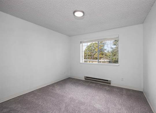 A room with a window and a carpeted floor.