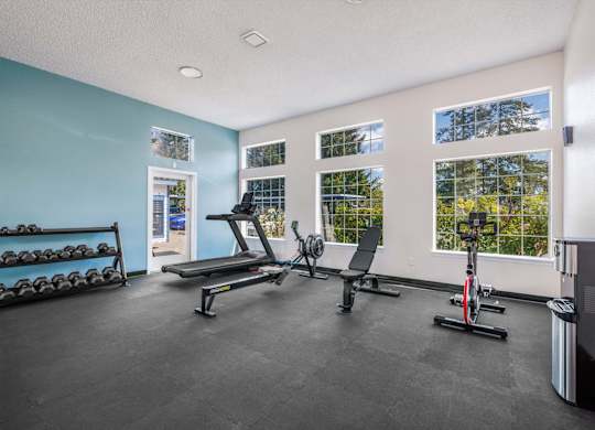 A gym with a row of dumbbells on the left and a row of exercise equipment in the middle.