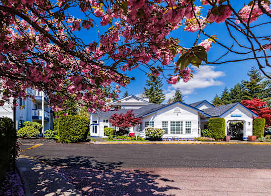 A house with a blue roof and white walls is surrounded by green bushes and trees with pink flowers.
