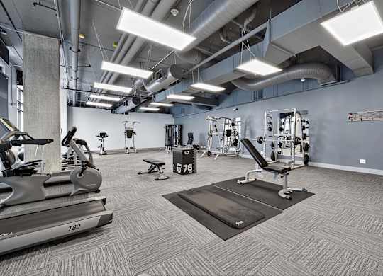 A gym with treadmills, weights, and exercise equipment.
