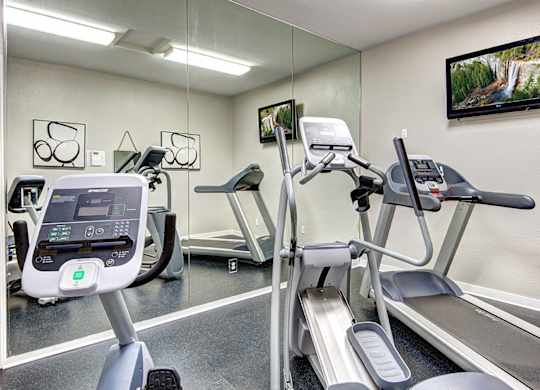 A gym with treadmills and elliptical machines.