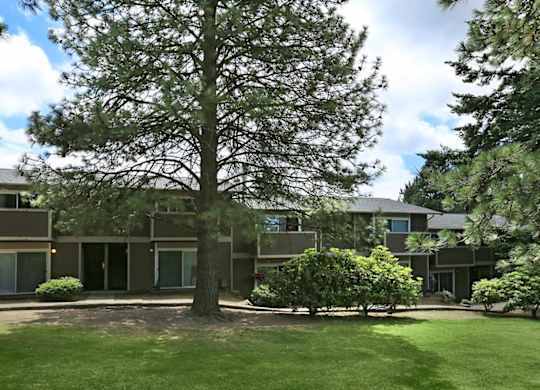 A large tree stands in front of a building with a green lawn.