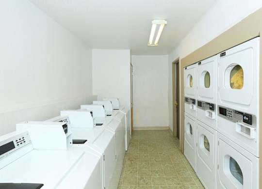 A row of white washing machines in a laundry room.
