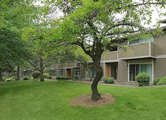 A tree in a grassy area in front of a building.